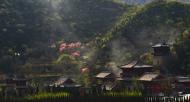 河南旅游文化：青龍山慈云寺第四屆桃花祈福文化節(jié)即將盛大開幕！